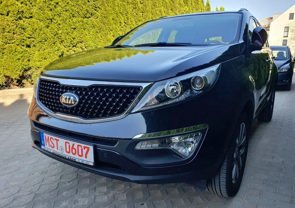 Kia Sportage cena 55950 przebieg: 58920, rok produkcji 2014 z Kędzierzyn-Koźle małe 562